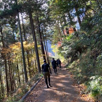 トレランスタートしてますねー💨