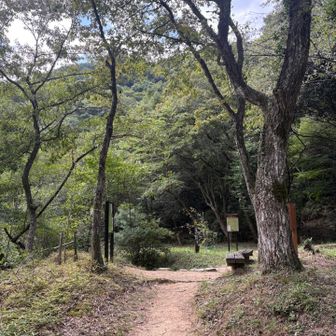 ここで植物園に行くおじいちゃんと会い、しばし一緒に歩きます