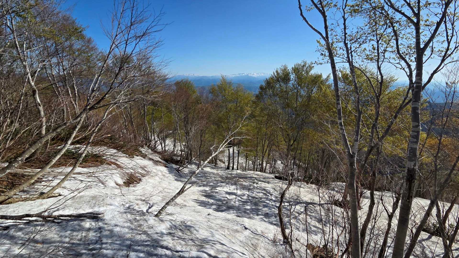 人分山-日本平山 往復コースの写真