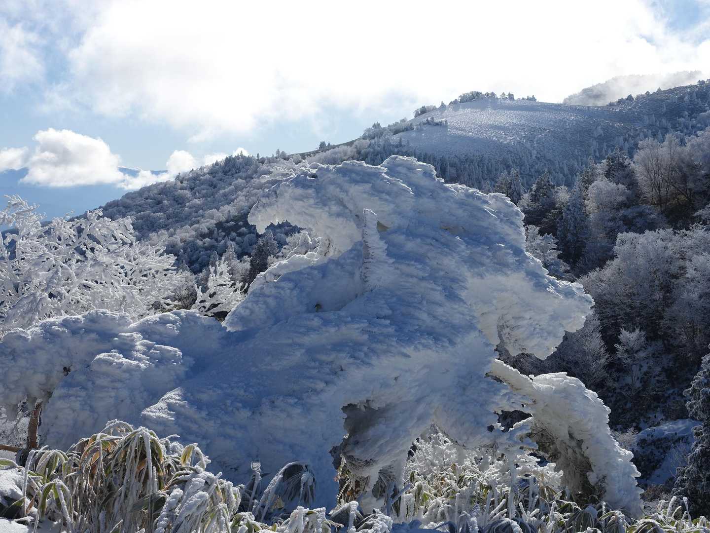 手前の雪の塊が 右を向いた龍🐲に見えるのは私だけ？
