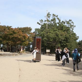 高尾山頂見たので下山します！