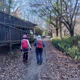 いきものふれあいセンターに戻ってきました。