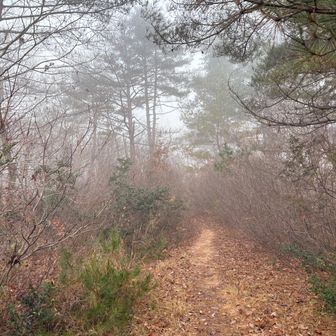 ガスってる・・・いやいや、ファンタジックな景色とでも言っておこう