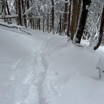 山頂付近は樹林帯で少し歩き易い
