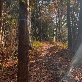 47　飯盛小山　274.2m
No.29
