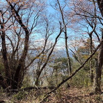 🌸がまだ残ってました