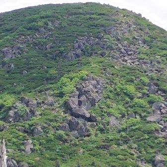 この岩を登ります