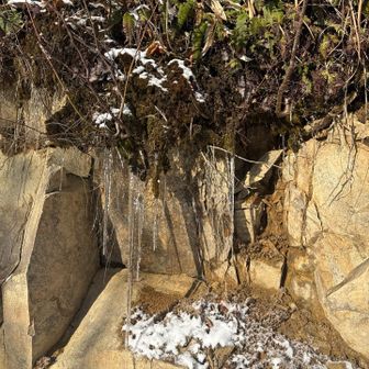 氷柱みて喜ぶのこの辺りまで