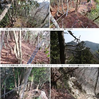 注意深く関屋分岐をクリアして安心していたら尾根を左に行ってしまい引き返しました

こんな複雑な岩尾根ではルートミスはつきものです
間違いに早めに気づき軌道修正する事が肝心ですわ

それにしてもロープ場はルート確認の証しになってくれました