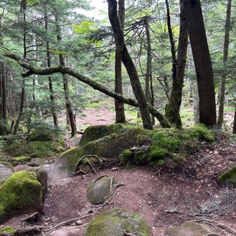 押手川
直登ルートとの分岐