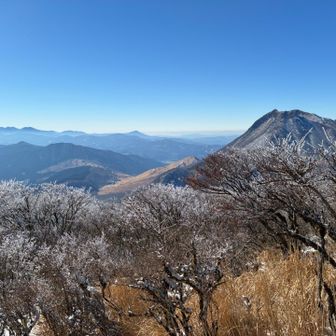 少しだけ残る霧氷とくじゅうオールスターズ🤩
そして由布岳‼️カッコいい👍