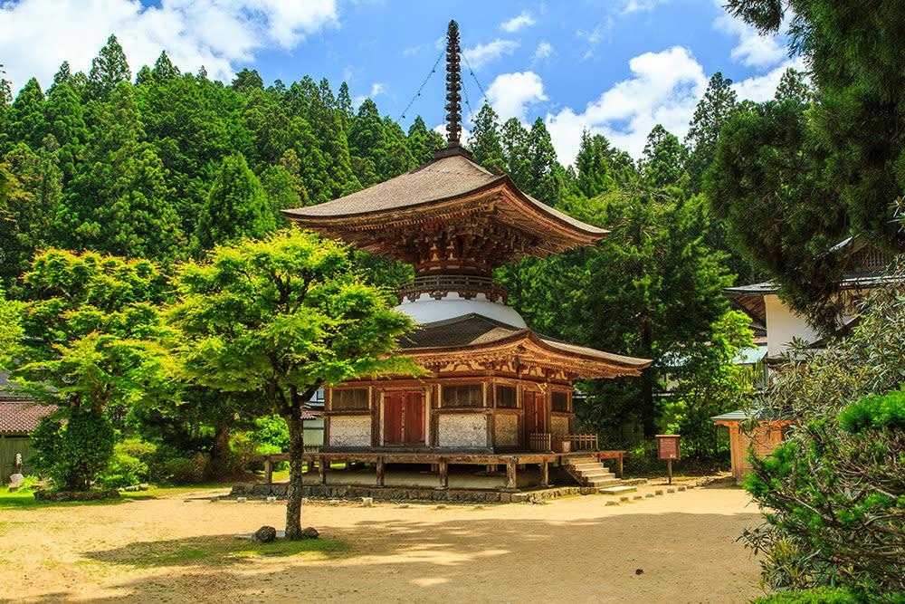 高野山～水ヶ峰の地図・登山ルート・登山口情報 | YAMAP / ヤマップ