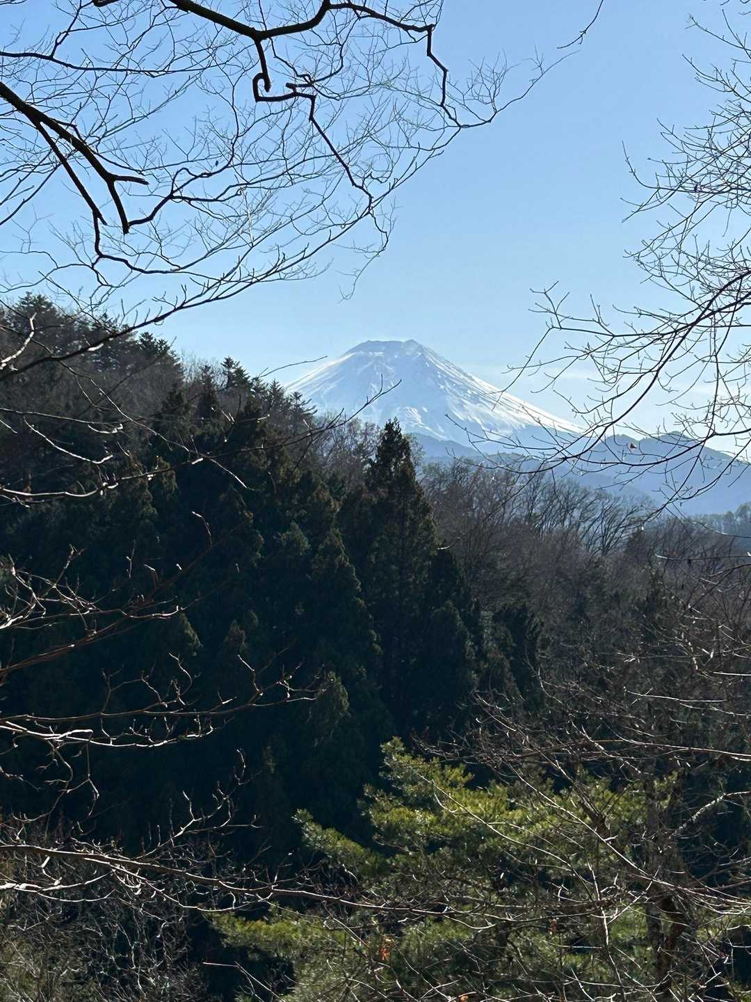大月駅-菊花山登山口-菊花山-馬立山-札金峠-紺屋の休場- 縦走コースの写真