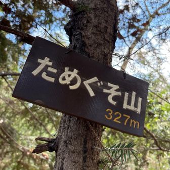 『ためぐそ山』山頂に到着！

山頂までの道のりには
数多くの💩が堂々と鎮座していました...
(今年 私が登ったなかで No.1！！)

今まで お山の名前💩が不憫だ😢と 
勝手に 思い込んでいましたが、
威風堂々✨と体現されている お姿に
敬意を持たずには いられませんでした...🙏

『ためぐそ山』でいいんじゃいっ！！最高や👍