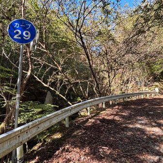 神社から登山口までは舗装された林道歩きです
カーブ29の先に登山口があります