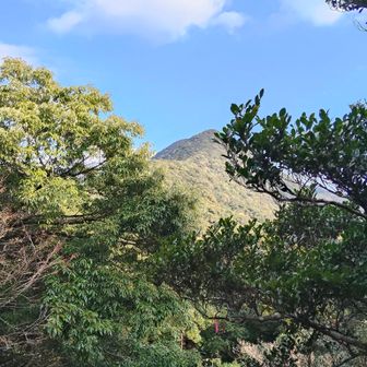 黒髪山が見えてるのかな？