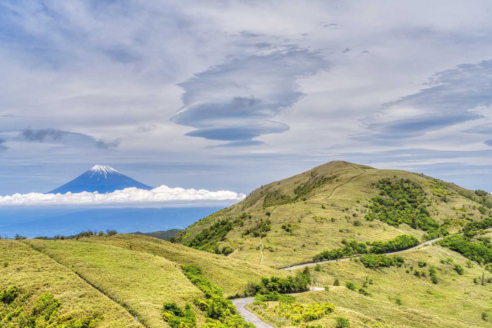 ようやく達磨山が目の前に