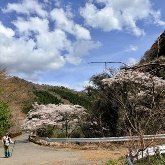 お疲れ様でした💦
