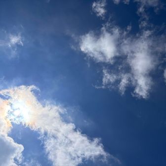 山頂の木道に寝っ転がる。

今日の青天（あおてん）