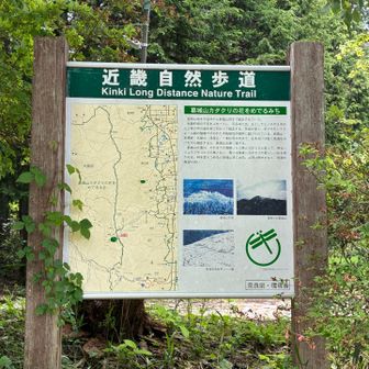分岐する探勝路が、近畿自然歩道になっているようだ
