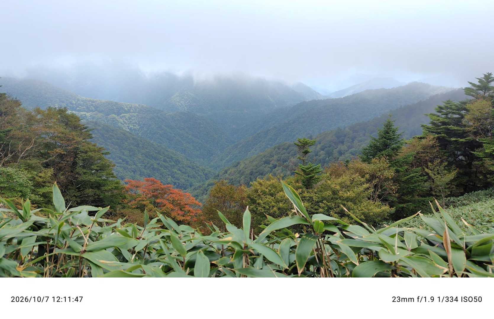 石鎚山 土小屋ルートの写真
