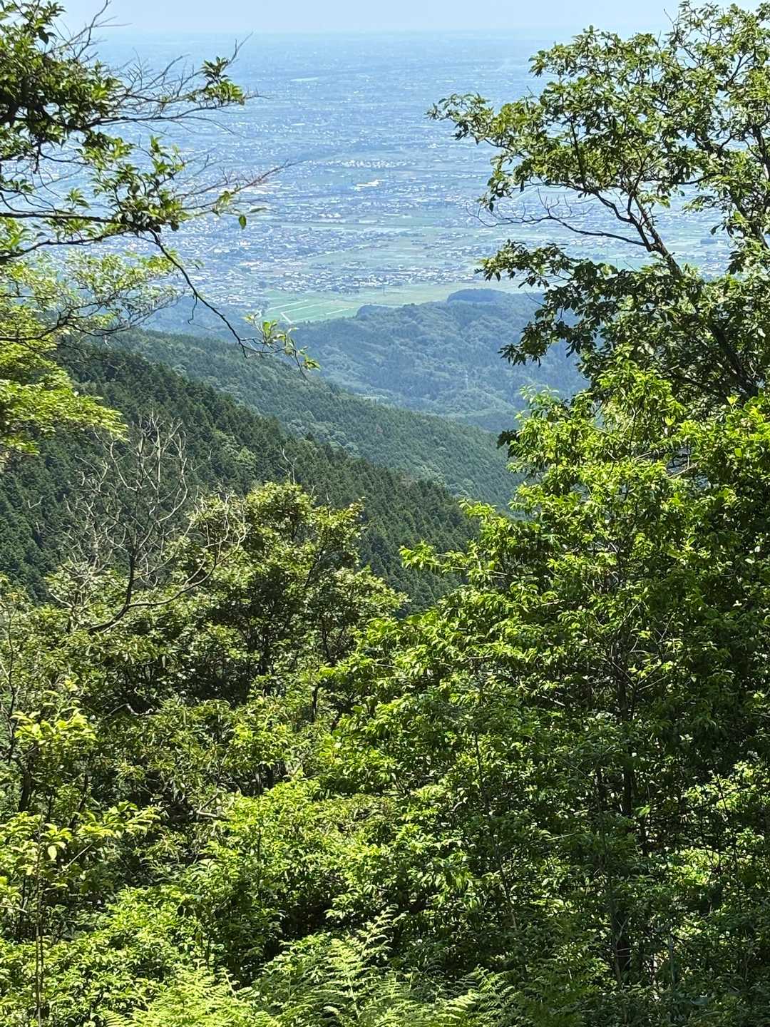 教養の森入口-池田山 往復コースの写真
