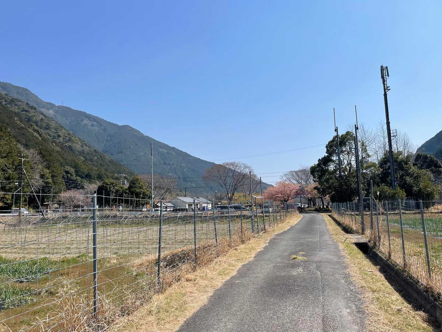 無事に戻って来た〜