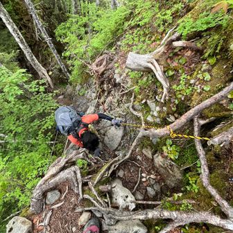 何度も滑りながら長い樹林帯を下山