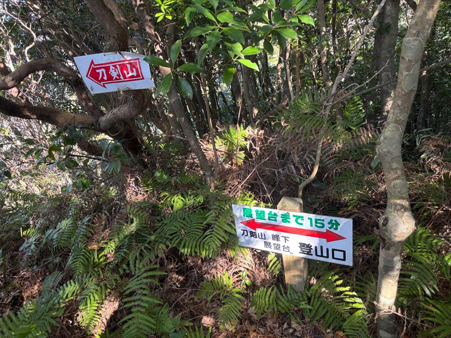 3峰