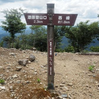 分岐に戻ってきました
ノブ＆たけは、ここで待機することに