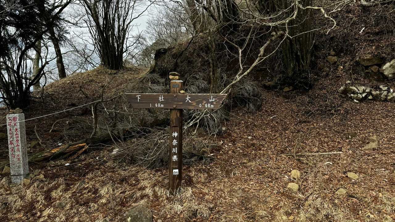 大山（ヤビツ峠〜大山〜鶴巻温泉）縦走 の写真 21