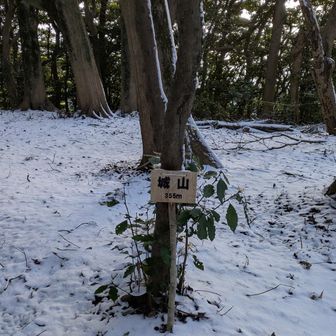 城山ってここなのね