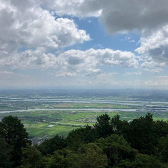 雨上がりの天気は心地良し☀️