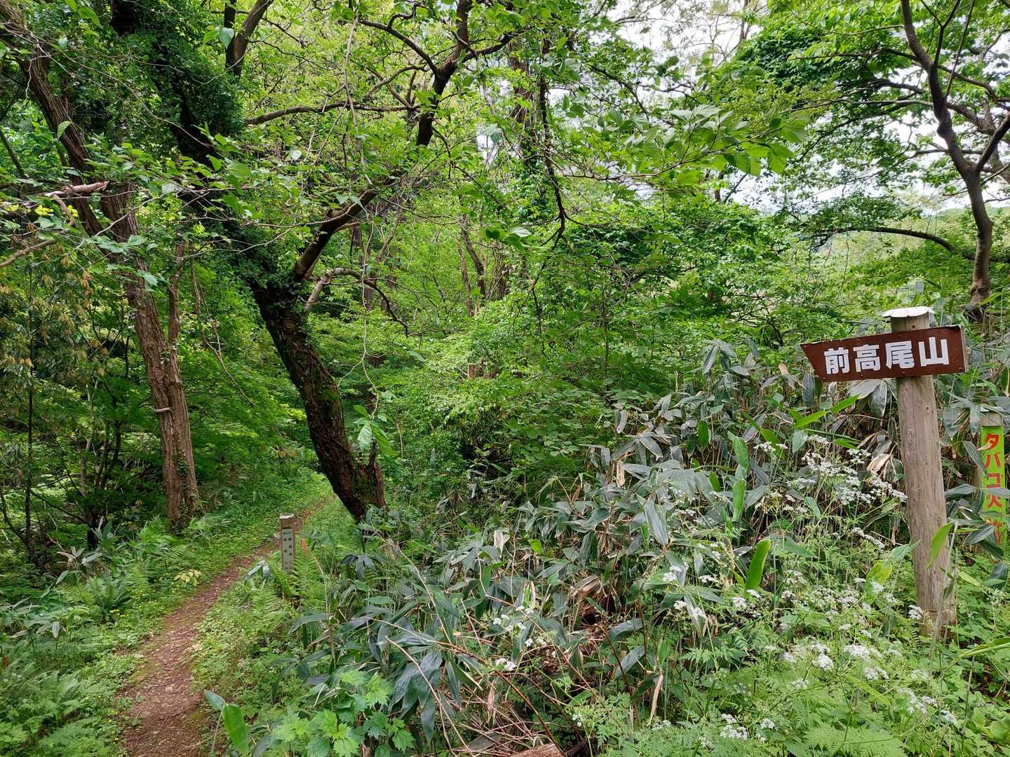 登山口前の🅿️には 車2台ありました
