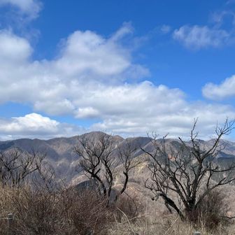 あおぞらー！と塔ノ岳