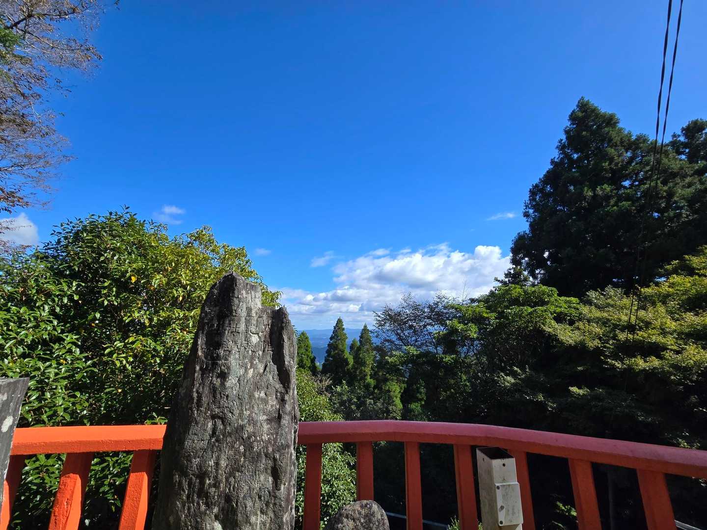 キター🙌