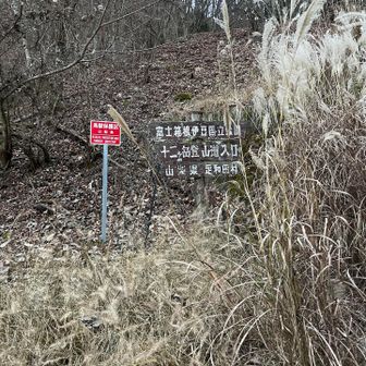 バスもすぐにきたのでラッキーでした