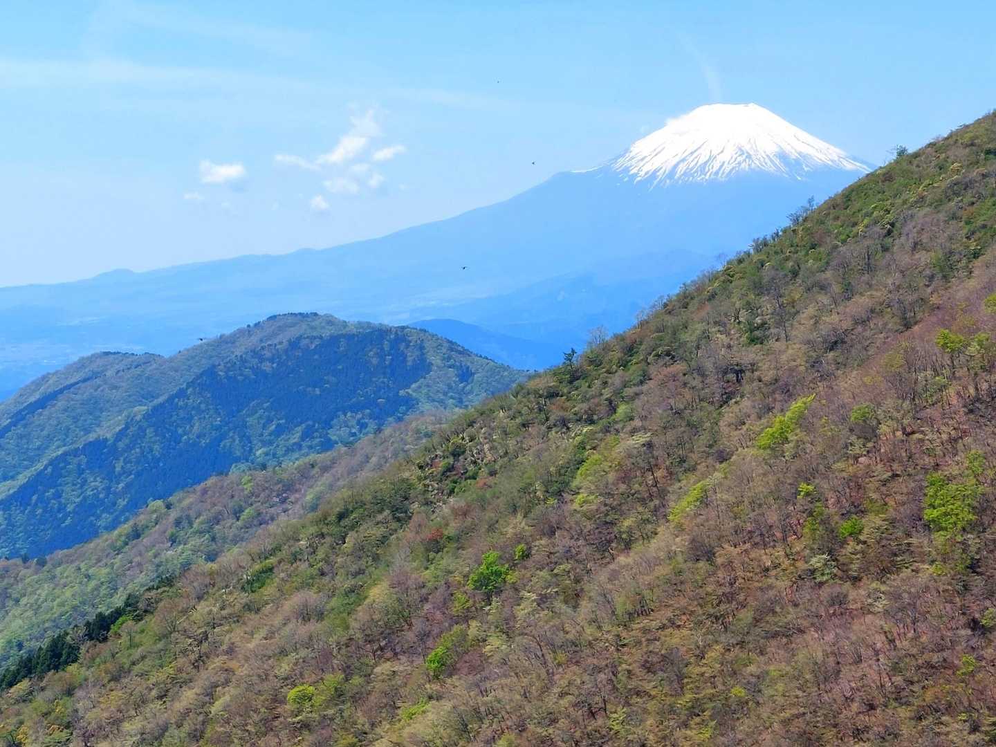 塔ノ岳大倉尾根コースの写真