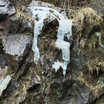 大つらら…極小つらら❄️