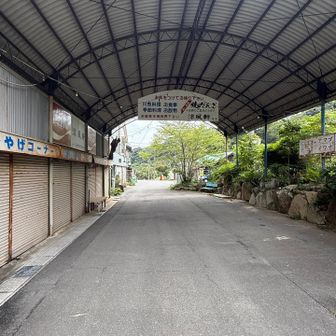 駐車場手前の土産屋は1軒しか開いてなかった