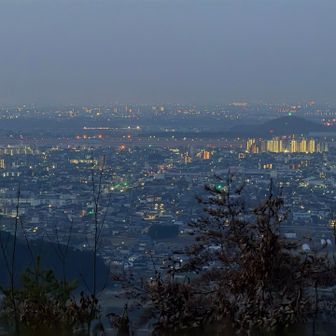 まだ眠る各務原😪
今の時間なら花粉少ないですよ‼️
