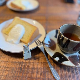 うさぎがいっぱい🐰