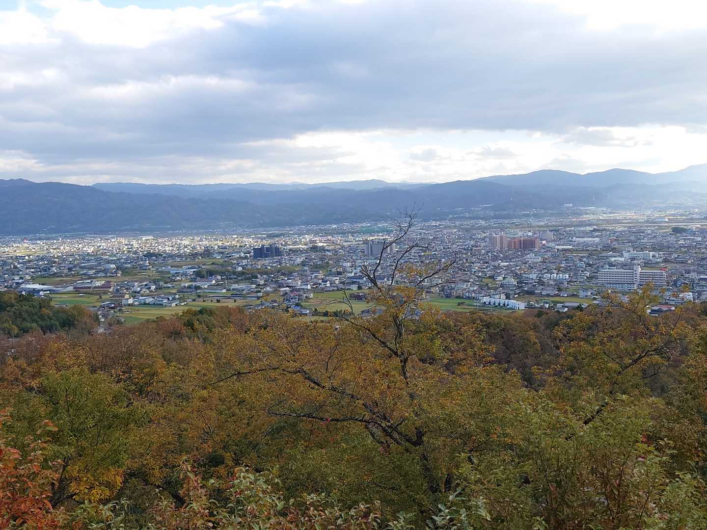 展望台からの眺め👀