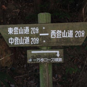 中登山道から行ってきます✊
