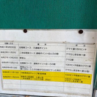 今年は姿現さず🐻