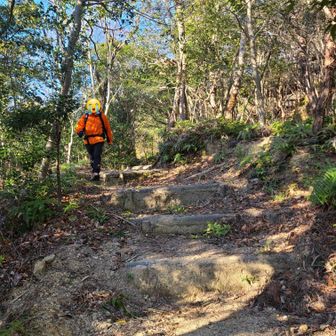 勝手にルート間違えて舗装道側に行ってて、無事に戻ってきた相方さん。