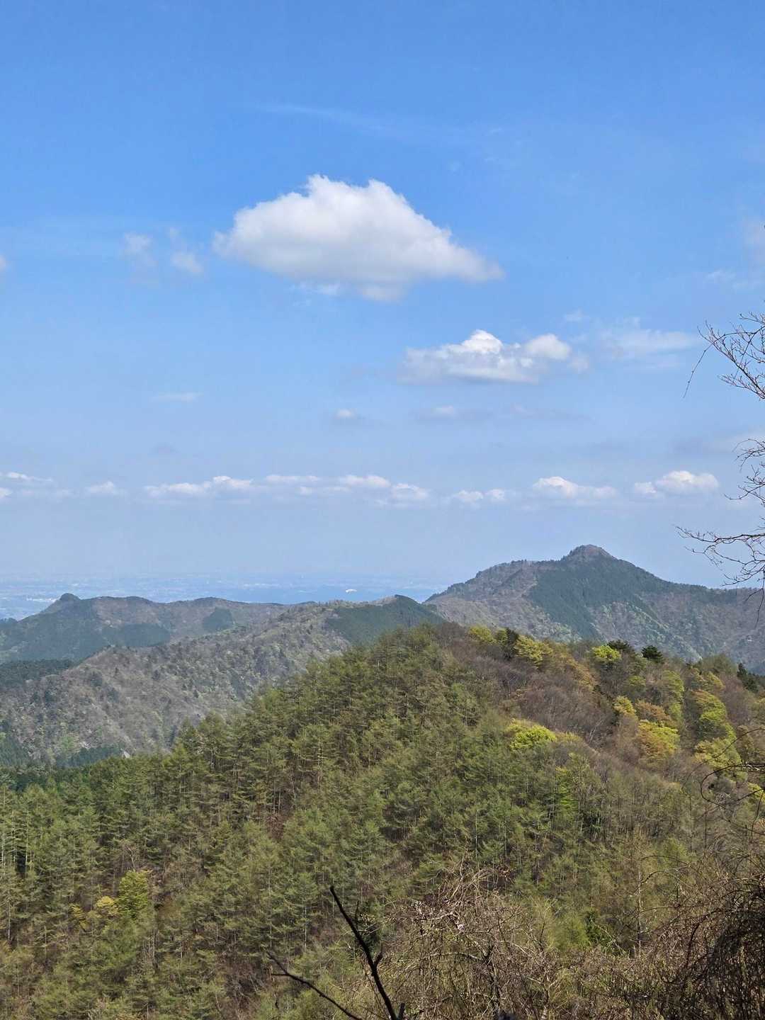 避難小屋からは東京都唯一の二百名山 大岳山が見えました✨