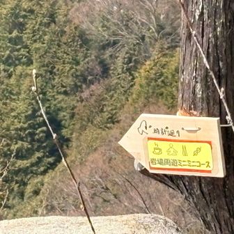 時計廻り
岩場周遊ミニミニコース…
左から回るの滑落しそうで怖い
やっぱソロのときはやめとこう😂