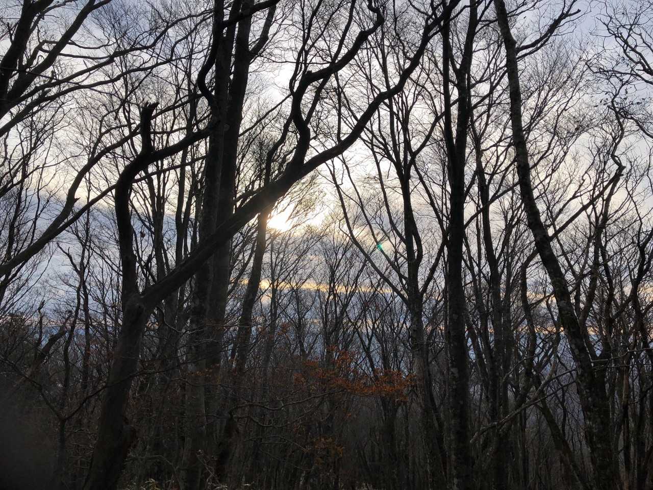 もうだいぶ明るい

でも残念なことに太陽が雲でかくれてる