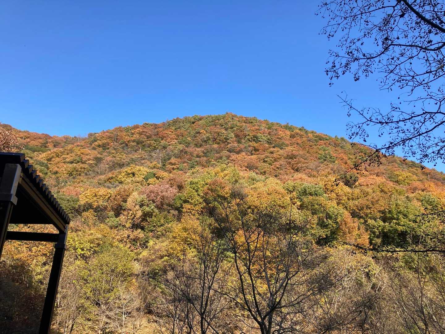大岩山 往復コースの写真